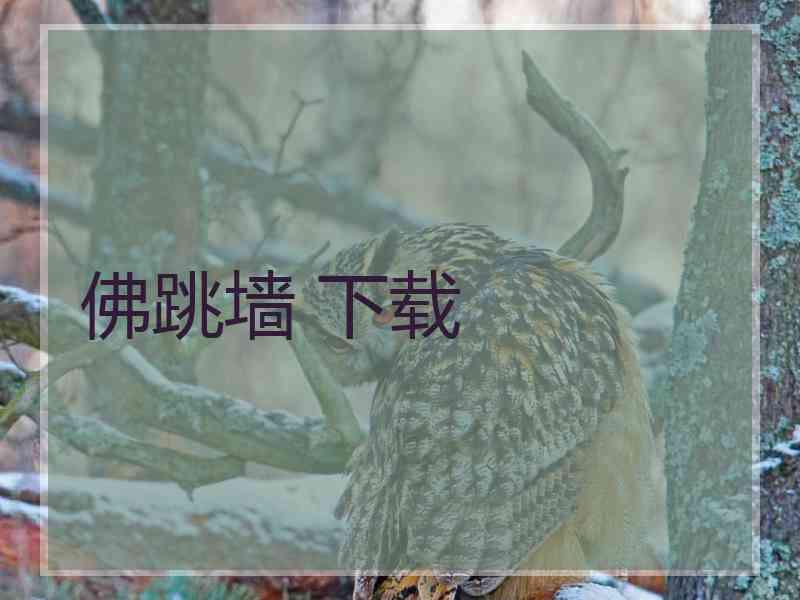 佛跳墙 下载