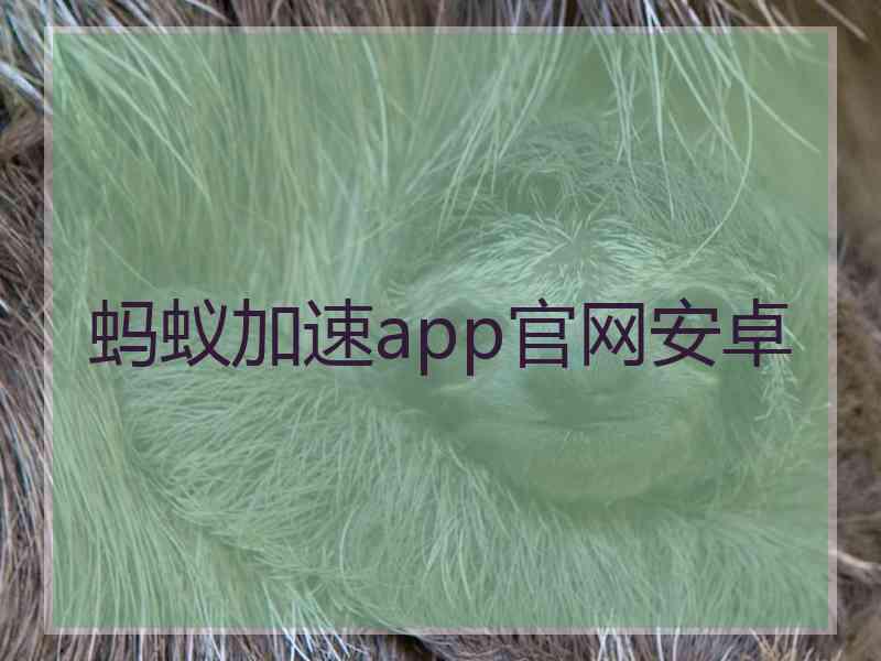蚂蚁加速app官网安卓