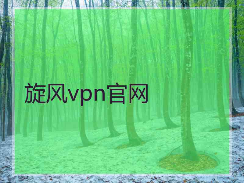 旋风vpn官网
