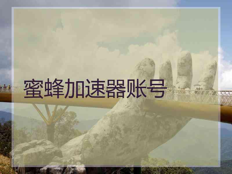 蜜蜂加速器账号