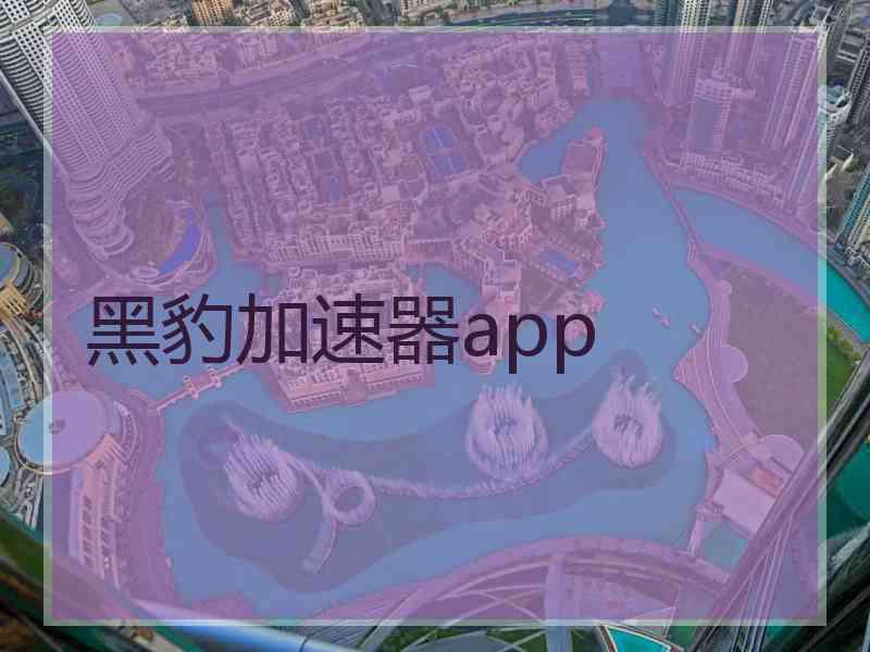 黑豹加速器app