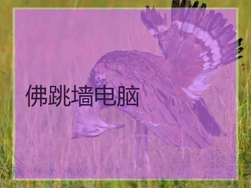 佛跳墙电脑