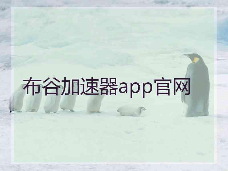 布谷加速器app官网