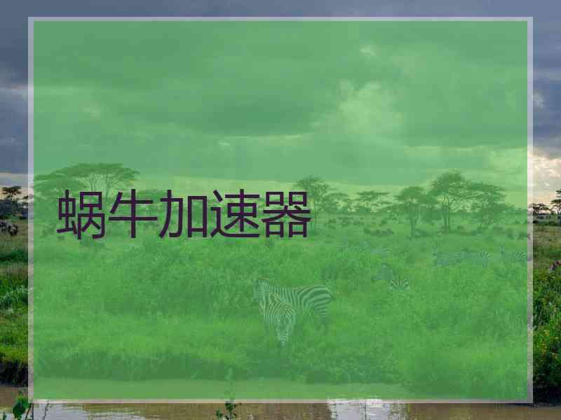 蜗牛加速器