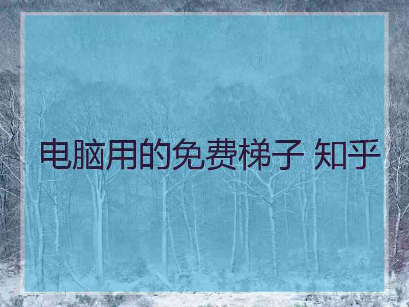 电脑用的免费梯子 知乎