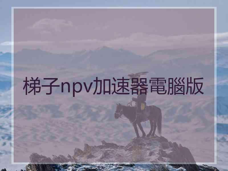 梯子npv加速器電腦版