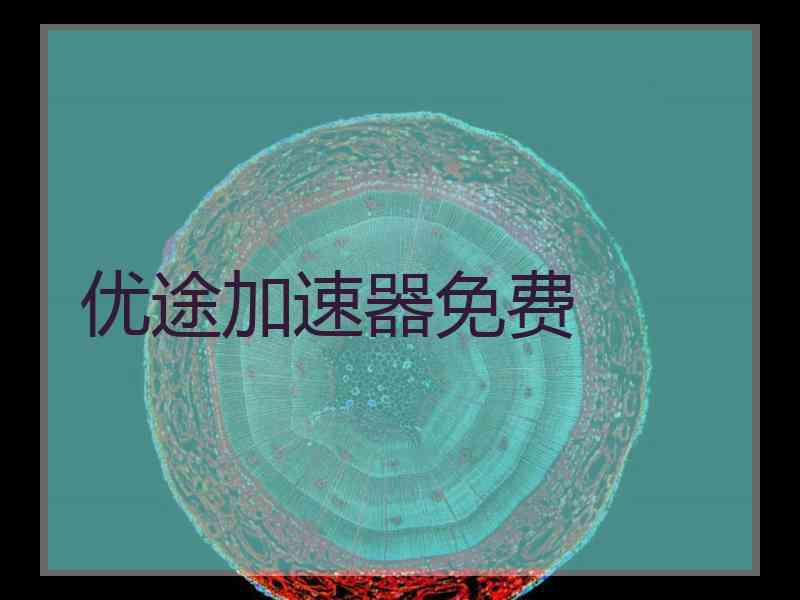 优途加速器免费
