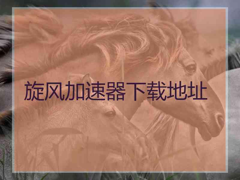 旋风加速器下载地址