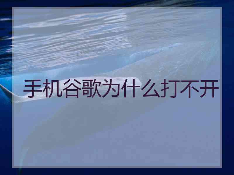 手机谷歌为什么打不开