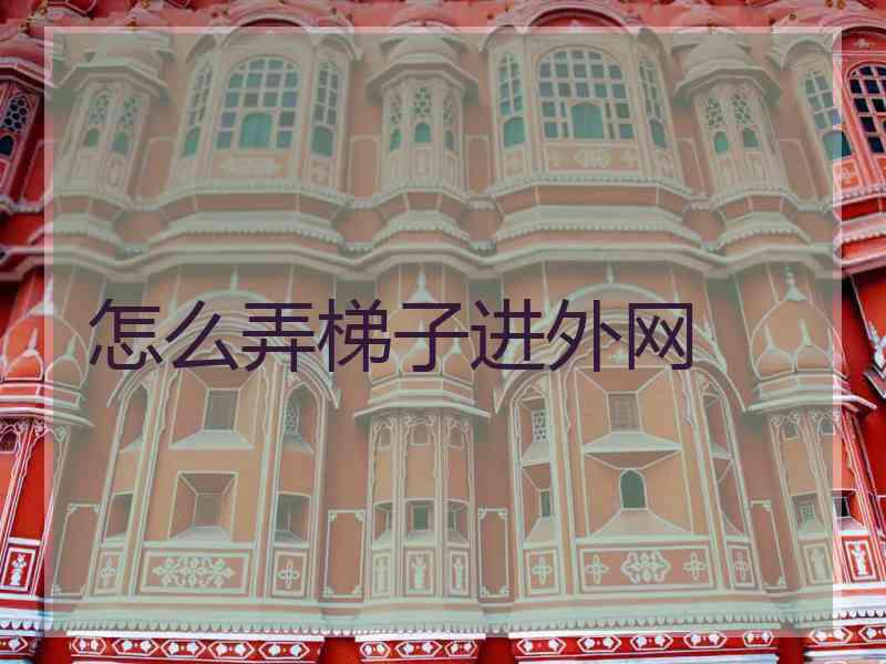 怎么弄梯子进外网