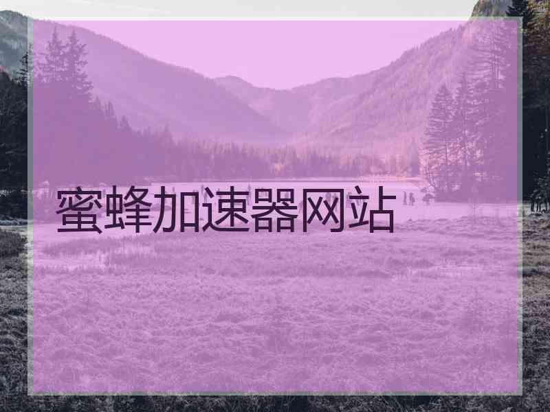 蜜蜂加速器网站