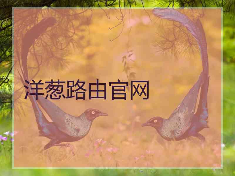 洋葱路由官网