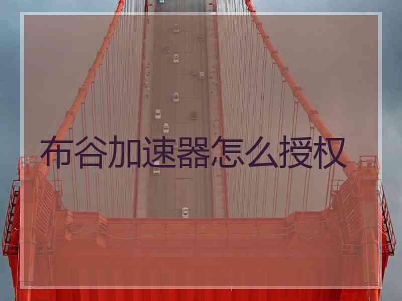 布谷加速器怎么授权