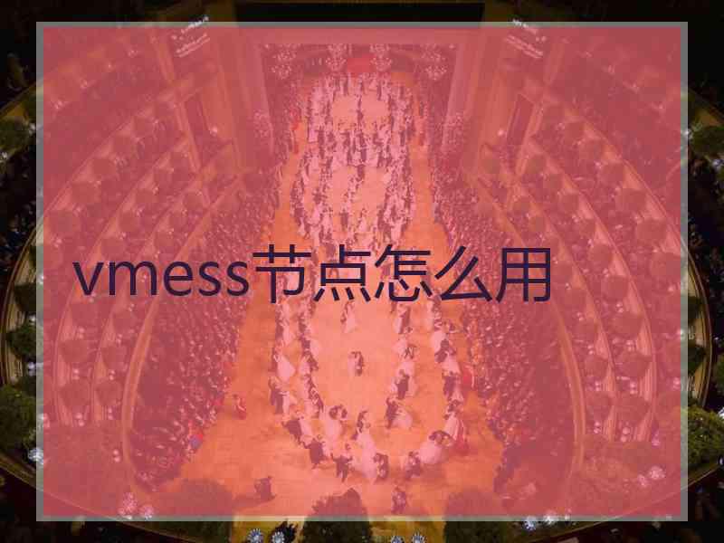 vmess节点怎么用