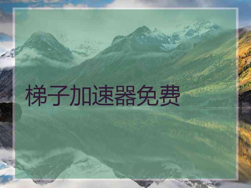 梯子加速器免费