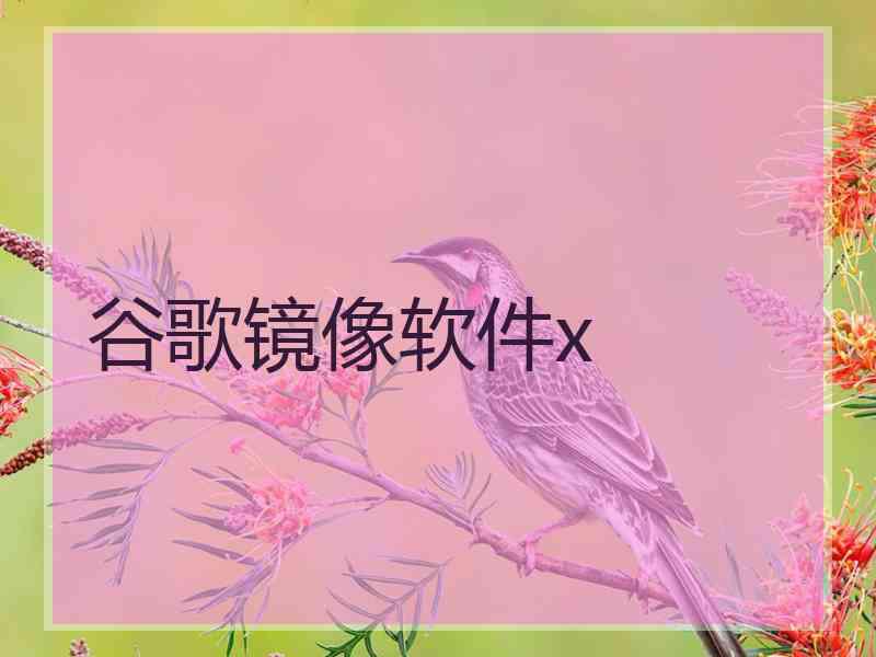 谷歌镜像软件x