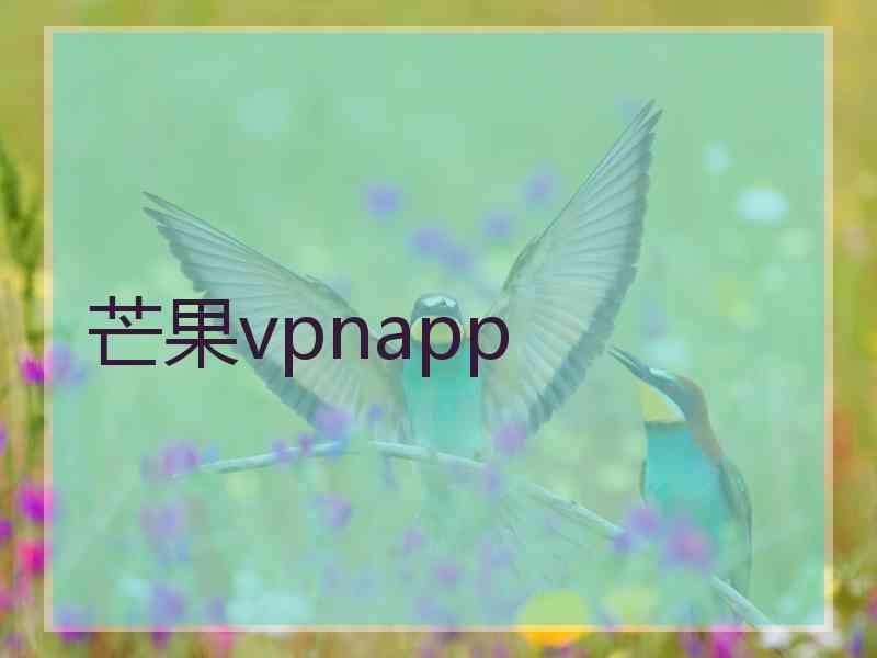 芒果vpnapp