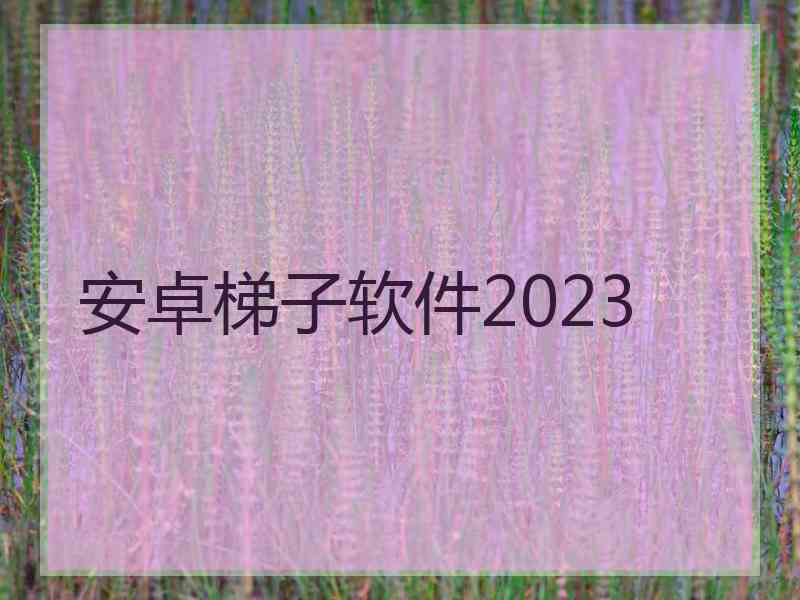 安卓梯子软件2023
