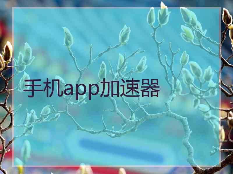 手机app加速器