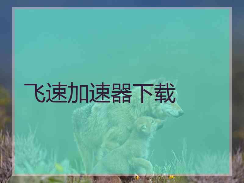 飞速加速器下载