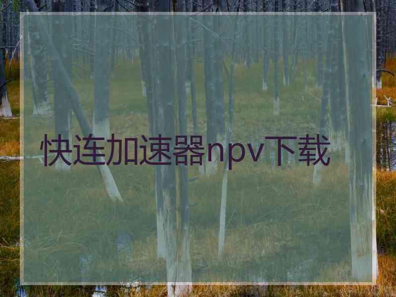快连加速器npv下载