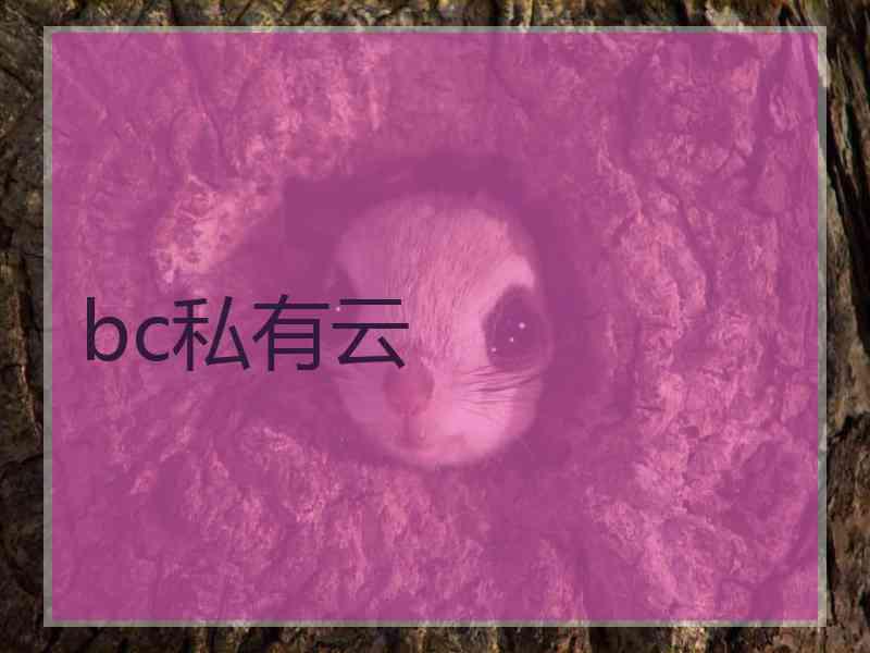 bc私有云