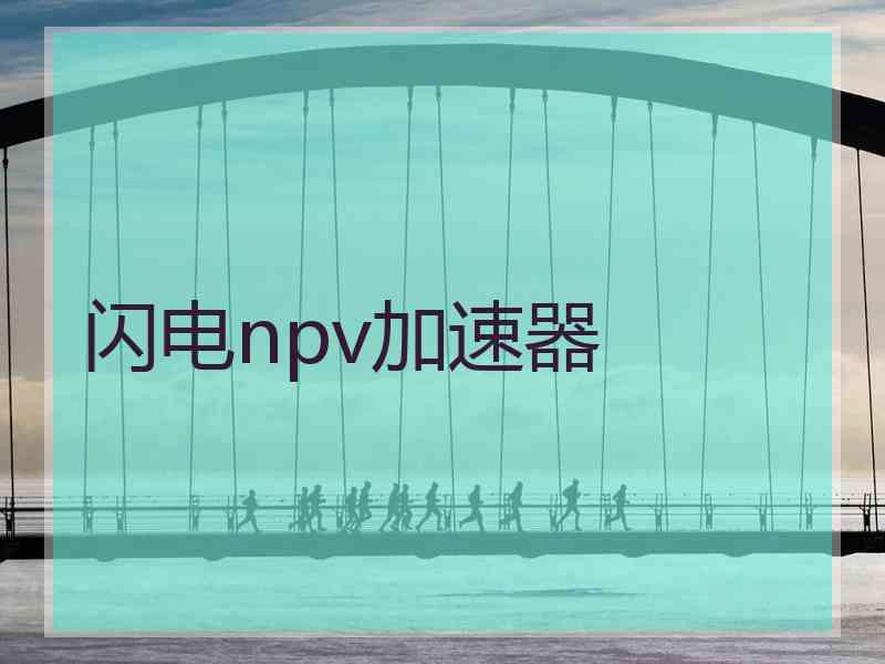 闪电npv加速器