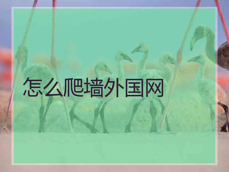 怎么爬墙外国网