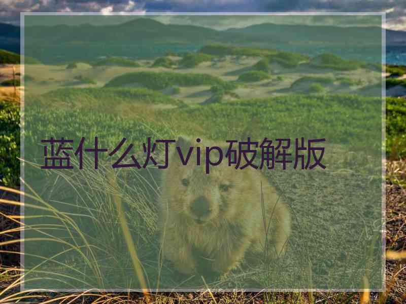 蓝什么灯vip破解版