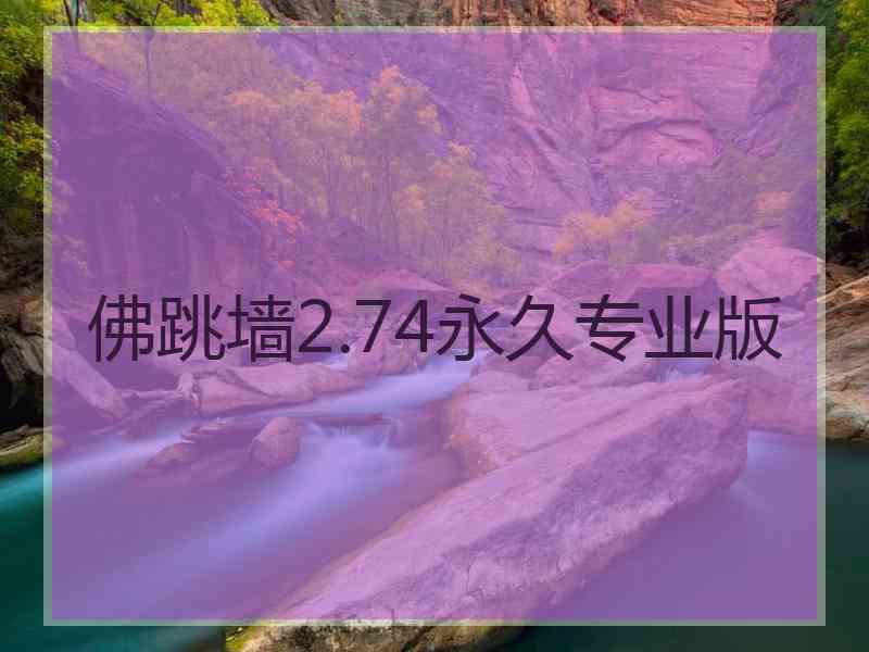 佛跳墙2.74永久专业版
