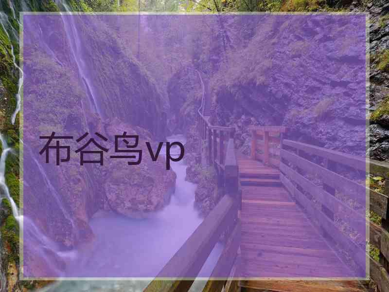 布谷鸟vp