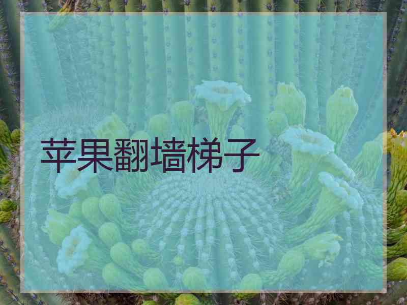 苹果翻墙梯子