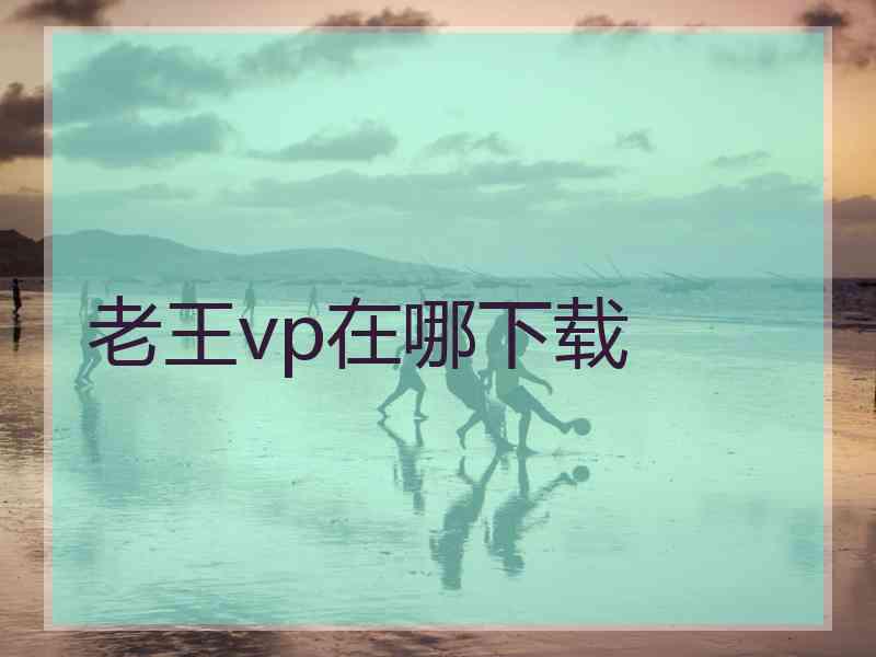 老王vp在哪下载