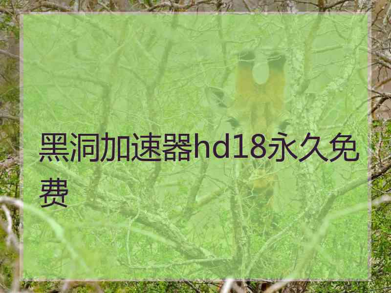 黑洞加速器hd18永久免费