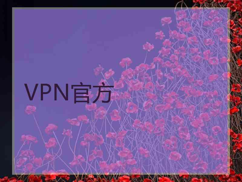 VPN官方