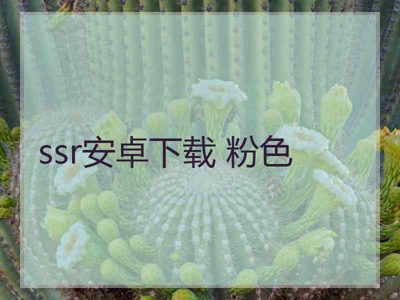 ssr安卓下载 粉色