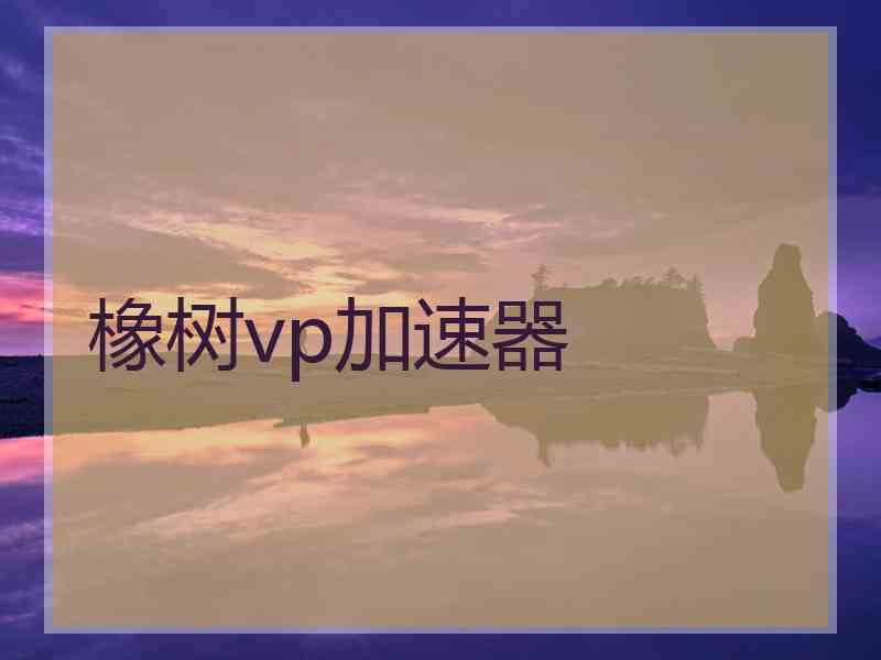 橡树vp加速器