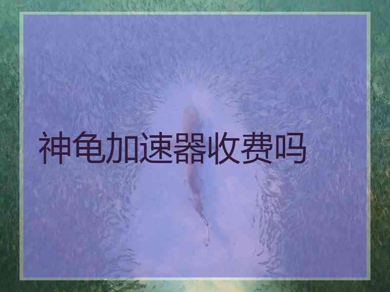 神龟加速器收费吗