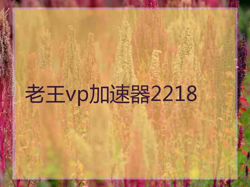 老王vp加速器2218