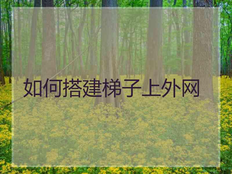 如何搭建梯子上外网