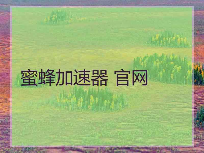 蜜蜂加速器 官网