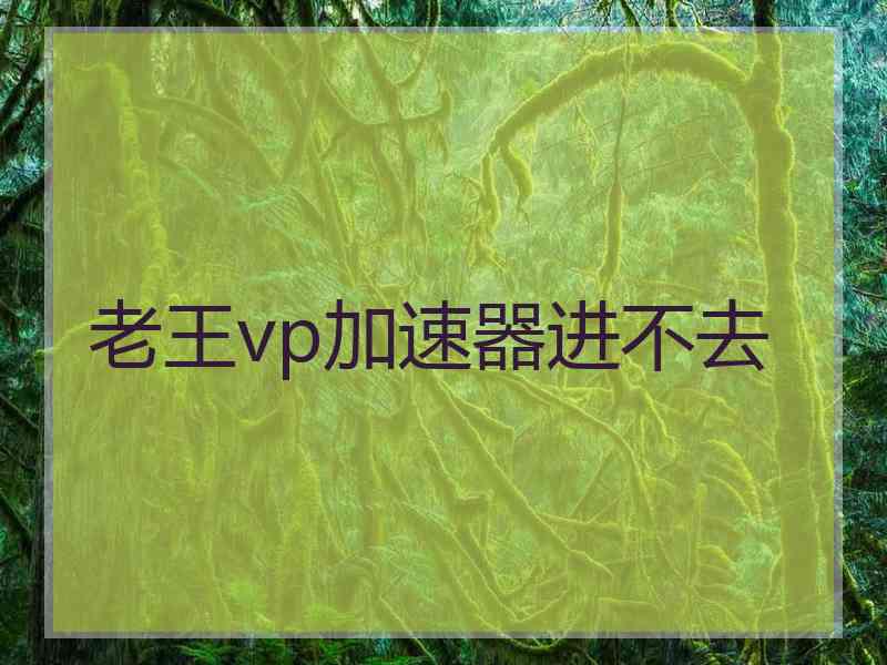 老王vp加速器进不去