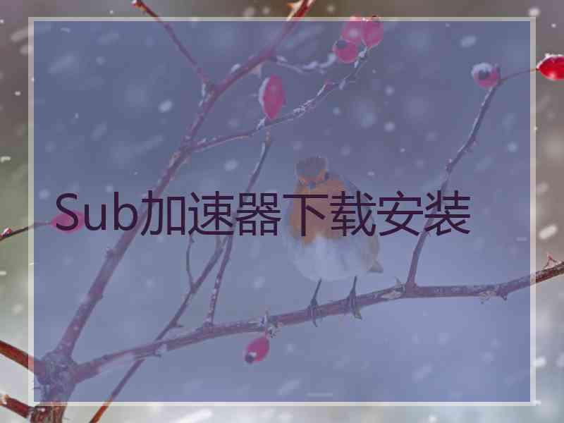 Sub加速器下载安装