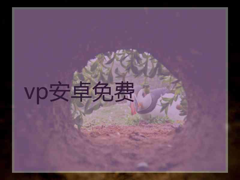 vp安卓免费