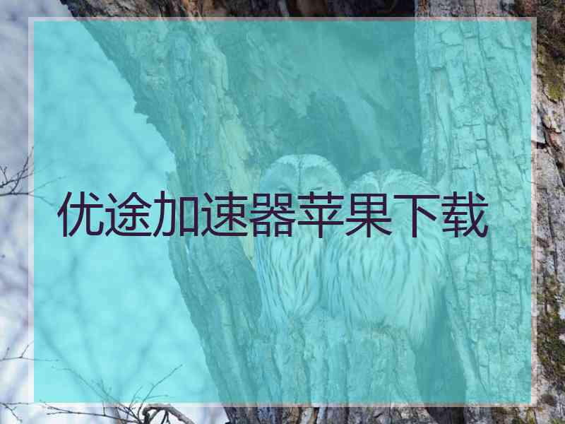 优途加速器苹果下载