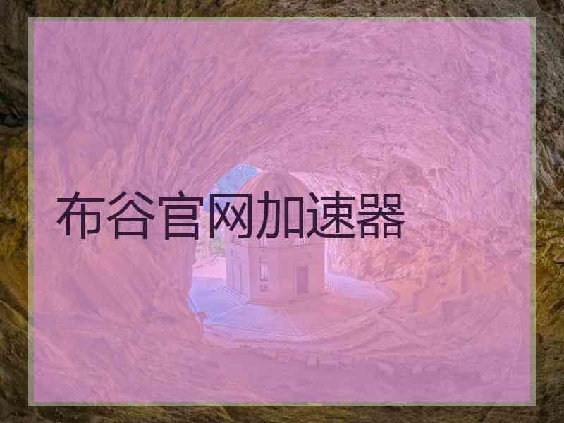 布谷官网加速器