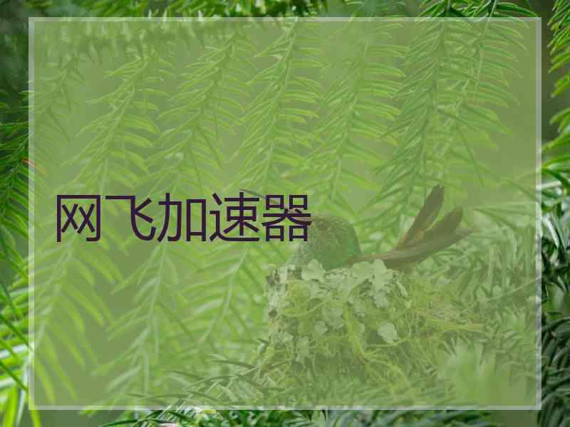 网飞加速器