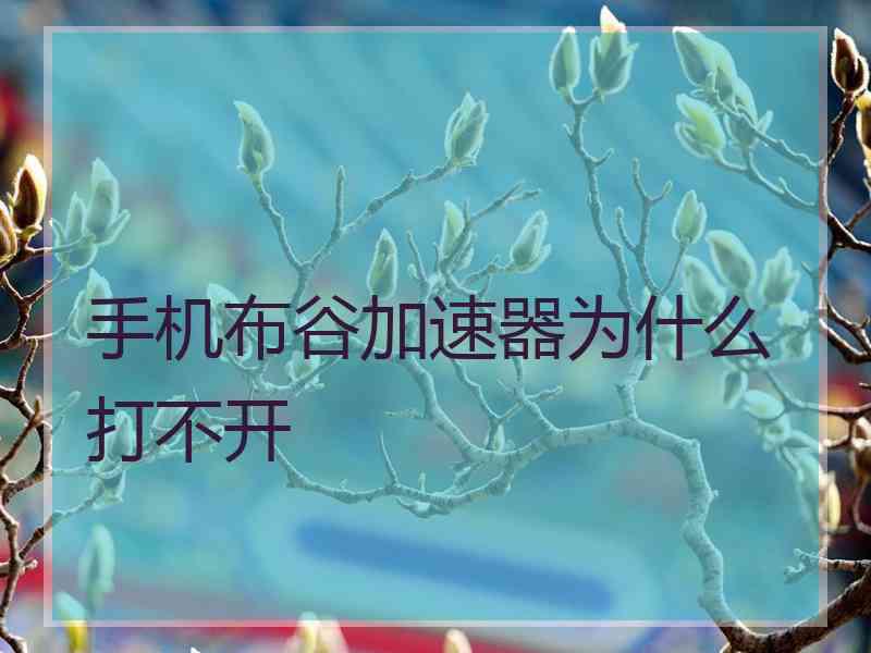 手机布谷加速器为什么打不开