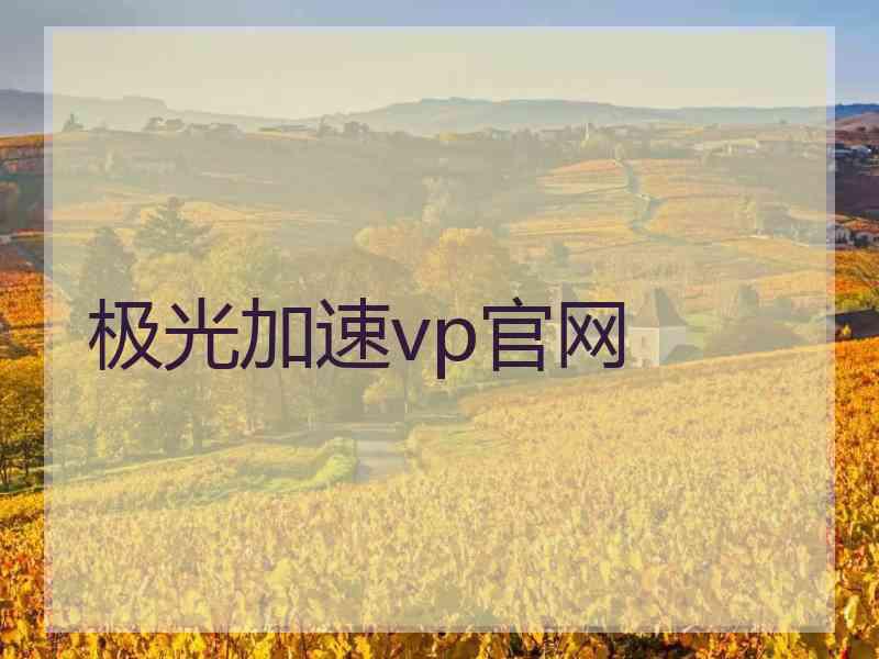 极光加速vp官网