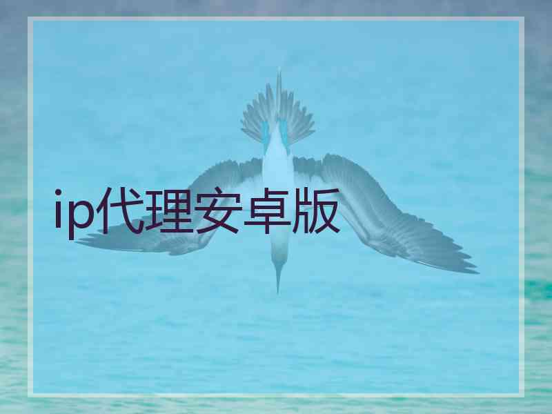 ip代理安卓版